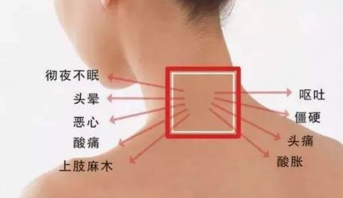 图片 2.jpg