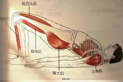 图片 4.jpg