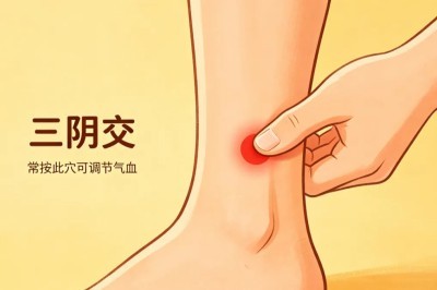 图片 4.jpg
